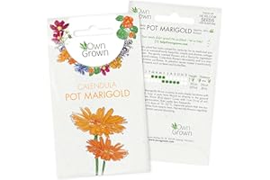 Calendula Seeds for Gardening Flowers: Premium Calendula Flowers Seeds for 100 Beautiful Pot Marigold Plants for Your Garden – Pot Marigold Flowers – Marigold Seeds for Marigolds Plants by OwnGrown