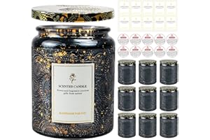 CREAHAUS 8.8oz Embossed Blinking Glass Candle Container, 9 Pack Electroplated Shining Candle Jar with Embossed Lid for Candle Making DIY Craft (Grey Embossed)