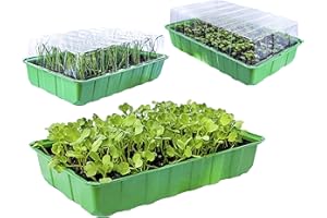 KliKil Invernadero Pequeño Semilleros Germinador Kit de 3 Unidades 72 Compartimentos para Semillas huerto y Plantas Naturales Interior - Semilleros de germinacion para huerto Interior