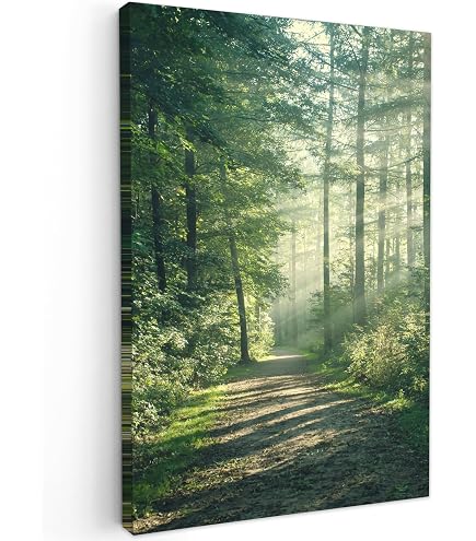 Tableau Toile Black Rocks Zen - 152x78 Cm - Décoration Bien-être Bambou Pierres
