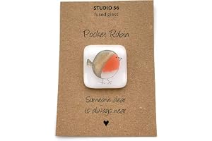 Pocket Robin