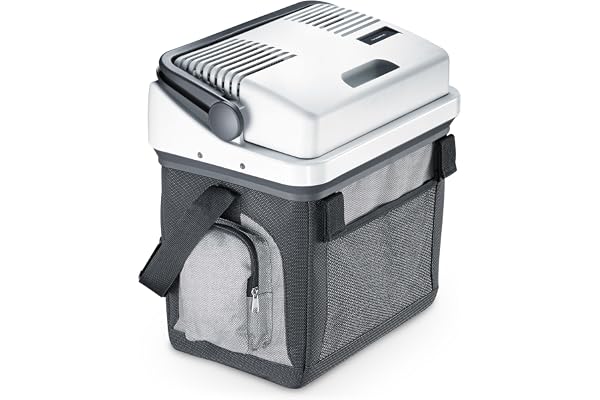 Dometic WAECO AS25 Bordbar Refroidisseur, Gris, 20 L, 12/230 V