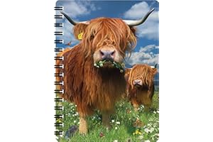 3D LiveLife Jotter - Highland Cattle from Deluxebase. Lenticular 3D Cow A6 Spiral Notebook with Plain Recycled Paper Pages. Artwork Licensed from Renowned Artist David Penfound
