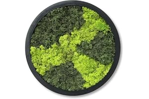 comforder Cuadro redondo con musgo auténtico (38 cm de diámetro), diseño de musgo conservado con marco de madera, decoración de pared natural para salón