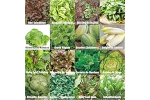 PRADEMIR Salate Saat 16 x 100 Semillas Salad Mix 100% semillas naturales recogidas a mano en Portugal, variedades raras y antiguas, semillas con alto porcentaje de germinación