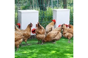JonesHouseDeco 2 Set Mangiatoia per Galline Automatico, 15/20LB Metallico Mangiatoia Galline, da Appendere Distributore Automatica, Gravità Naturale Tramoggia, Anti-Spreco, per Polli Pollame Galline