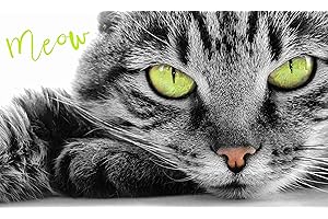 Carbotex TNL202008 Serviette de toilette en coton Motif yeux de chat 30 cm x 50 cm