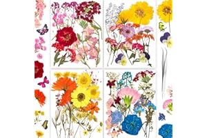 YOOTHBRO 154PCS Vraie Nature Sec Gaufré Résine Moule, Sec Gaufré [apillon Transparent Autocollant DIY Bijoux Faire Pngles Carte Scrapbooking Art Craft décoration Endless Love