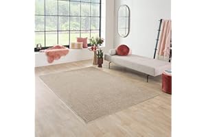 Carpet Studio Maine Alfombra Salón 115x170cm, Alfombras para Sala, Comedór & Dormitorio, Fácil de Limpiar, Superficie Suave, Pelo Corto - Beige