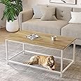 SAYGOER Coffee Table Simple Modern Coffee Tables Open Design Rectangular Minimalist Center Table for Living Room Home Office Easy Assembly 100x 50x 45cm, Oak White