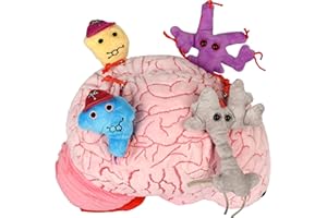 GIANT MICROBES GIANTmicrobes Deluxe - Peluche de cerebro con neurona de 9.5 pulgadas, regalo para estudiantes de medicina, regalos para neurólogo, recuperación de cirugía cerebral, conciencia de TCI, regalos de