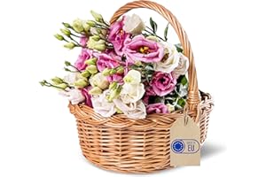 ‎CREATIVE HOME Creative Home Mały Koszyk Świąteczny Wiklinowy z Rączką | 30x27x24cm (+/- 1cm) | Kosz Bożonarodzeniowy Prezent Piknik Rośliny Przechowywanie Dekoracja | Ręcznie Pleciony | Naturalny Brąz | Uniwersalny