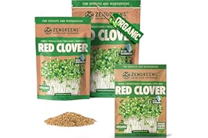 ZenGreens® - Organiczne nasiona koniczyny czerwonej - Wybierz pomiędzy 10, 200 g i 500 - nasiona koniczyny czerwonej o zdolności kiełkowania ponad 97% - nasiona koniczyny czerwonej kiełki