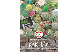 85589 Sperli Premium Kakteen Samen Mix | Sukkulenten Samen Mischung | Kakteen Saatgut | Kaktus Samen | Zimmerpflanzen