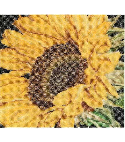 Thea Gouverneur Kreuzstich-Set – Rosenstrauß Kissen – Aida 12 Count – 35x35 Cm – Für Erwachsene