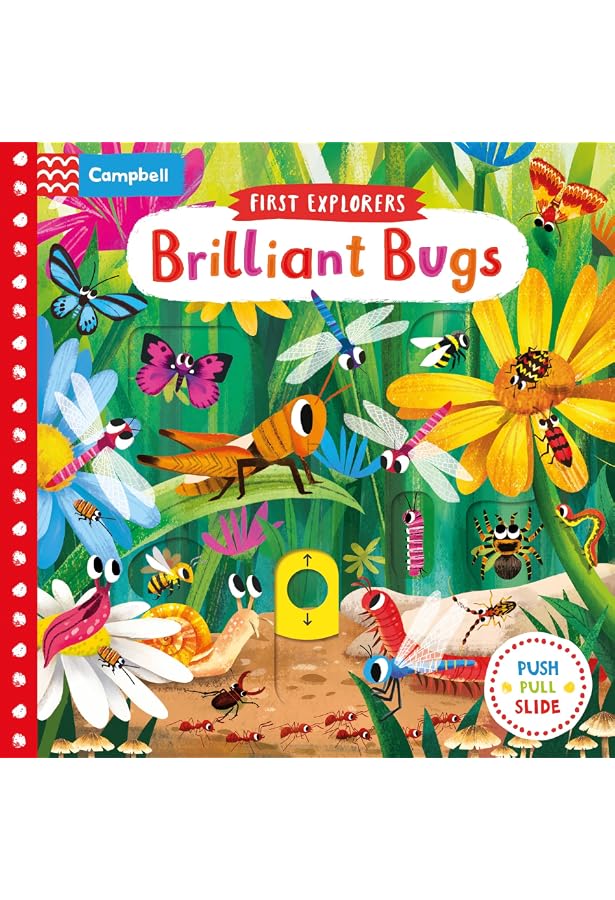 Hello, World! Backyard Bugs Board Book By Jill McDonald - Good Condition