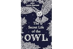 The Secret Life of the Owl: a beautifully illustrated and lyrical celebration of this mythical creature from bestselling and prize-winning author John Lewis-Stempel