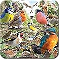3D LiveLife Cork Coaster - Nature's Home from Deluxebase. Lenticular 3D Cork Bird Coaster. Non-slip drinks mat with original artwork licensed from renowned artist, David Penfound