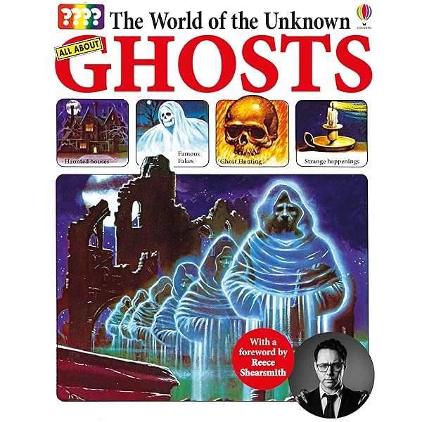 Haunted House : Pienkowski, Jan, Pienkowski, Jan: Amazon.pl