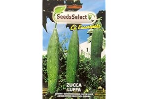 SEEDSSELECT Semi Zucca Luffa Cylindrica Zucchina Rampicante Spugna Vegetale