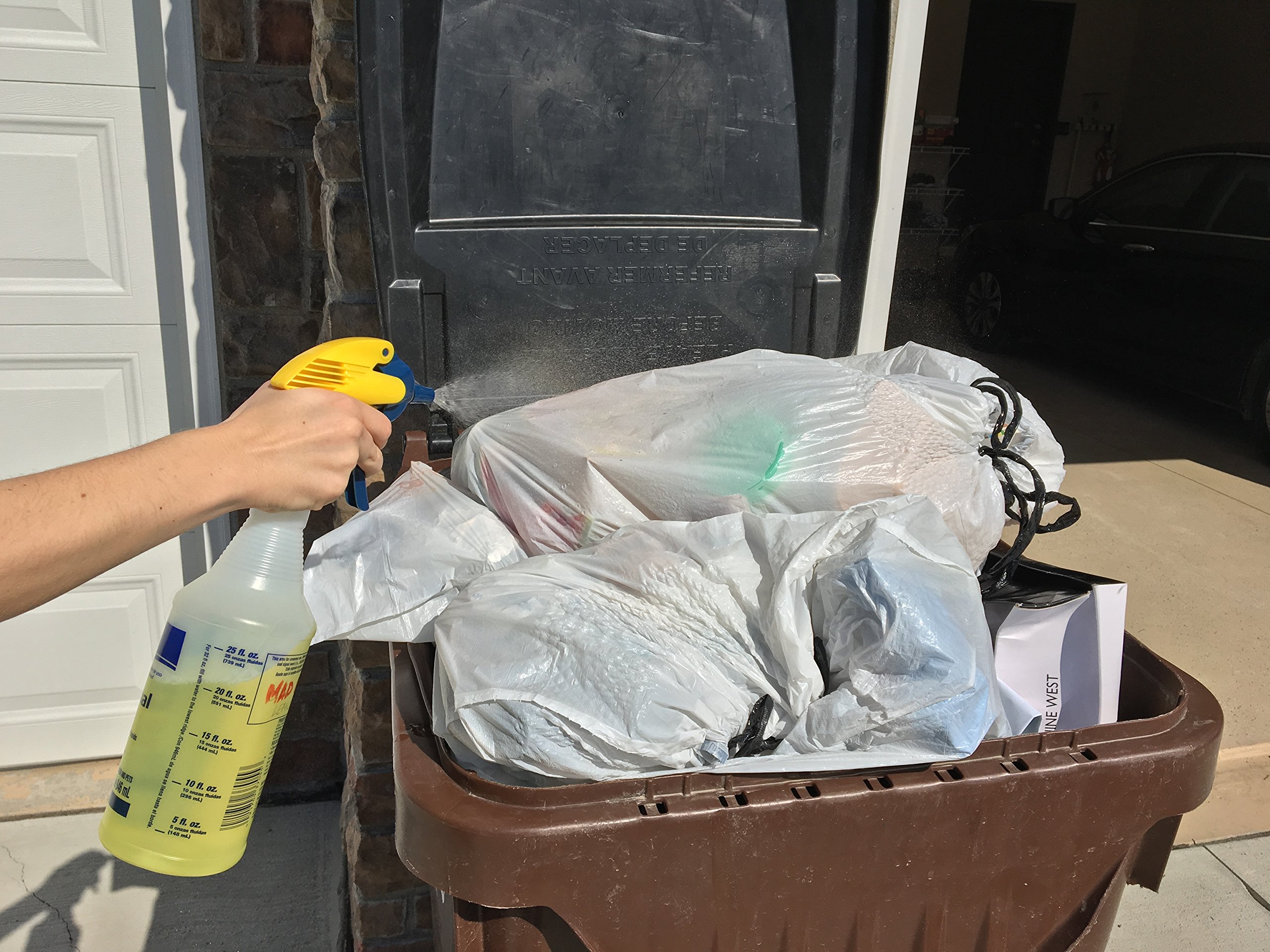 mad lemon pet odor eliminator