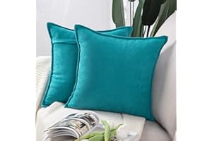 Madizz 2 Pezzi Federe Corto Ciniglia Copricuscini Morbido Decorativo Fodere per Cuscino Lusso Stile per Divano Camera da Letto Letto Ciana verde acqua Quadrate 50x50 cm