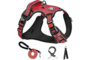 NESTROAD Imbracature con Pettorina Cane ad h Guinzaglio Antifuga Rosso per Cani di Taglia Grossa, Taglia L per Grande Cani con Collo 38~48CM Petto 48~74CM, Cintura Sicurezza Accessori Cani Auto