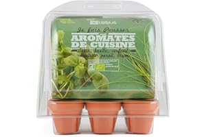 Radis et Capucine – Serre de Germination avec graines d'aromates reproductibles biologiques d’aromatiques à Faire Pousser