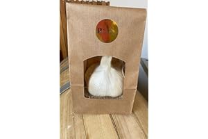 PAG Pierucci Agricoltura 1 Capo di AGLIONE della Val di Chiana *gr.i 250* in Sacchetto SALVAFRESCHEZZA