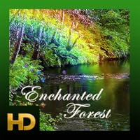 Enchanted Forest HD