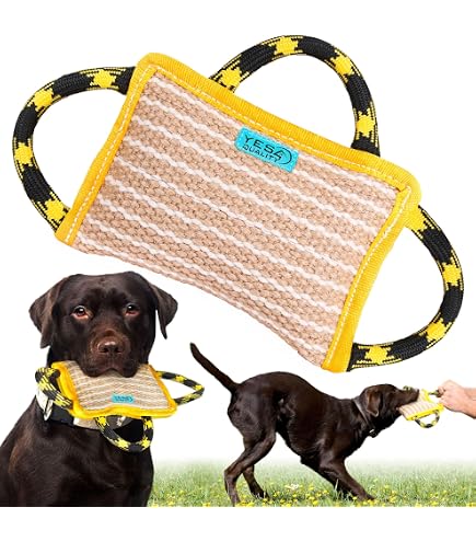 Beißkissen Für Hunde – Aus Strapazierfähigem Polyester, Ca. 27x20 Cm, Für Mittelgroße Hunde & Welpen
