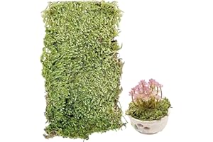 Cayway Touffe d'Herbe Statique et Mousse Artificielle Verte - Modèle pour Le Chemin de Fer de Paysage de Train (Style C)