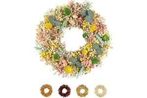 HOLIKI PHILARO Trockenblumenkranz Bunt Ø 30cm - kein Plastik I Trockenblumen Premium Qualität aus Europa I Trockenblumen Kranz für Haustür, Wand und Tisch