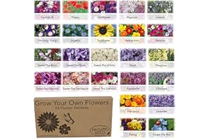 Pronto Seed Bumper Pack Grow Your Own Kit - 24 Varieties of Flowers - Over 3100 Seeds to Attract Butterflies & Bees - Gardening Gift for Women and Men (Flower Pack)