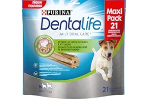 DENTALIFE | Friandise à mâcher | Chien Adulte de Petite Taille | Action nettoyante naturelle | Nettoie les dents difficiles à atteindre, combat la mauvaise haleine | Sachet | Lot de 5 x 21 Bâtonnets