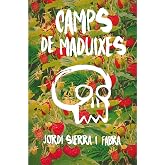 Camps de maduixes: 178 (Gran Angular)
