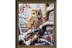 LECZANY Kit de point de croix à faire soi – meme kit de démarrage de broderie pré - imprimée canevas kit complet adulte ou enfants pour les debutants - Hibou dans la neige 36x42cm