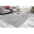 Super Soft FLUFFY Shaggy Rug Anti-Slip Carpet Mat Living Room Large Area Rugs Modern Floor Bedroom Extra Large Size Non Shedding (Silver, 120cm x 170cm (4ft x 5.6ft))