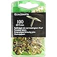 Exacompta Brass Drawing Pins, Pack of 100