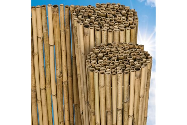 Sol Royal Canisse Bambou SolVision B38 120x250 cm – FSC® Brise Vue Balcon, Jardin, terrasse – Brise Vent - Pare Soleil Naturel, Robuste & Facile à Monter