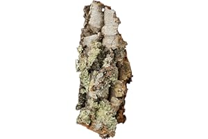 Komodo Mini Habitat Bark Mould Resistant Natural Shelter Hiding Basking Spot for Reptiles terrarium Encourages Natural Instincts