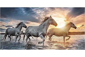 Theonoi Dziecięcy ręcznik kąpielowy, ręcznik plażowy, ręcznik kąpielowy dla dziewcząt i chłopców, 100% bawełna, 70 x 140 cm (koń)