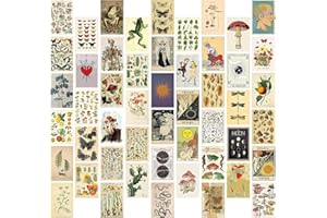 EGuangwiua 50Pcs Botanical Illustration Tarot Aesthetic Picture Wall Decoration Vintage Poster Collage Art Print Kit Room Dorm Shop Office Photo Display Girl Teen Women Birthday Gift Party Decoration
