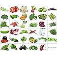 Only For Organic 35 Varieties Of Seeds With Instruction Manual - 1600+ Seeds