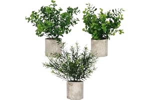 BELLE VOUS Mini Plantas Artificiales Decorativas Eucalipto en Maceta (Pack de 3) Follaje Pequeño en Macetas - Planta Artificial - Decoración Escritorio en Oficina, Hogar, Cocina, Jardín, Mesa, Ducha