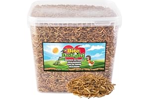 Bite & Delight MĄCZNIK MŁYNAREK SUSZONE LARWY LARWA ROBAKI KARMA DLA PTAKÓW KUR 1,8KG 10l