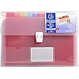 Exacompta - Ref 55298E - Crystal Multipart Expanding Case - 330 x 250mm in Size, Ideal for A4 Size Documents, 13 Tabbed Sections, Holds up to 400 Sheet