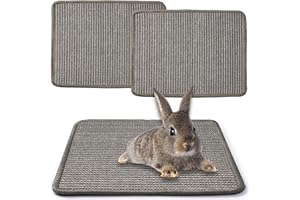 JanYoo 2 Stück Kratzmatte für Kaninchen 40×30cm, Natürliches Sisal Kaninchen Käfig Einlagen Meerschweinchen Unterlage Wiederverwendbar Haustierkäfig Bettwäsche zum Beißen, Grau