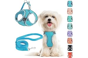 PERFFI Hundegeschirr Kleine Hunde mit Leine, kein Ziehen, verstellbar, reflektierendes, atmungsaktives Netzgewebe für extra kleine/kleine und mittelgroße Hunde, Katzen, Welpen (dunkelblau, L)