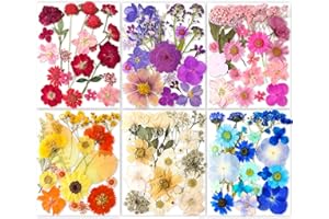 YoothBro 116PCS Vraie Nature Sec Gaufré Résine Moule, Sec Gaufré [apillon Transparent Autocollant DIY Bijoux Faire Pngles Carte Scrapbooking Art Craft décoration Eternity Summer